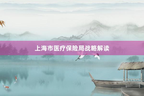 上海市医疗保险局战略解读