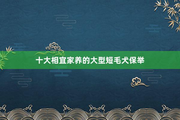 十大相宜家养的大型短毛犬保举